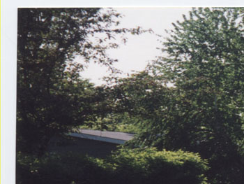 Untitled_14