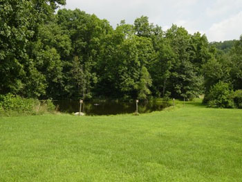 sse_6